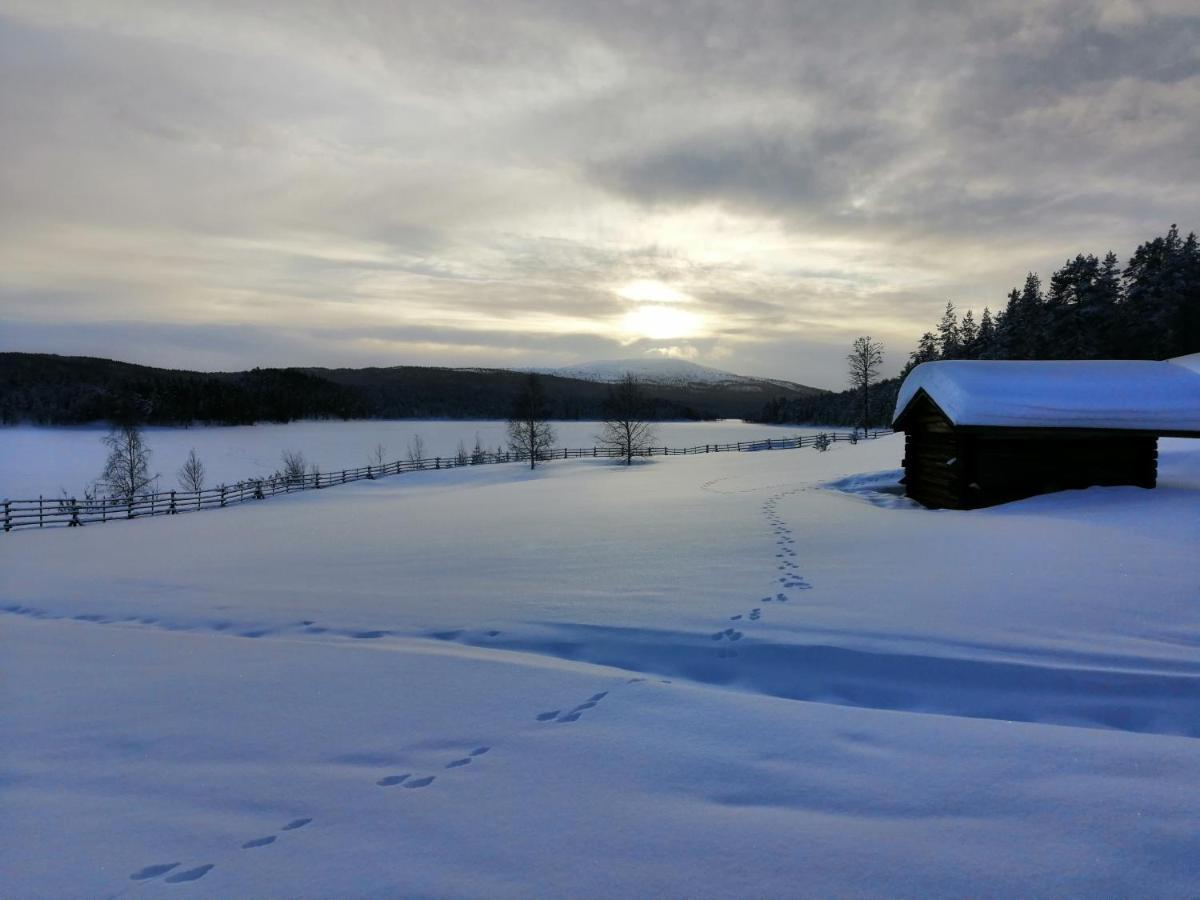 מלון Lemmenjoki Camping Ecocabins מראה חיצוני תמונה